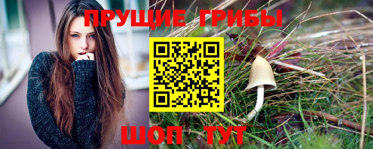 Борисоглебск  Галлюциногенные грибы Magic Shrooms  Вход с VPN  Псилоцибиновые грибы Psilocybe 
