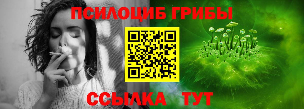 Псилоцибиновые грибы GOLDEN TEACHER Борисоглебск